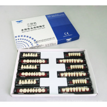 R101 Three-Layer Synthetic Resin Teeth